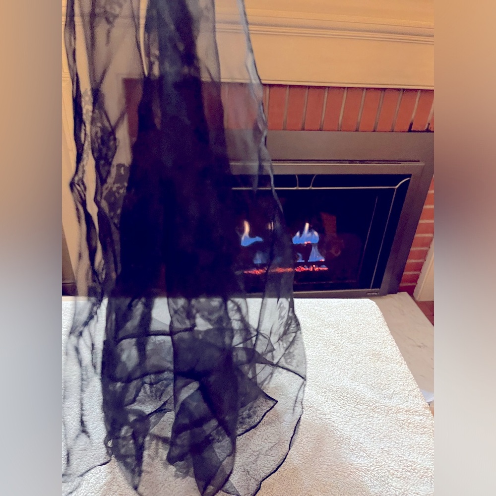 Black Chiffon Poodle scarf Whimsigoth hand rolled edges.17 x51”